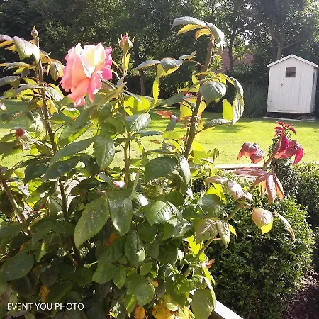 Les Hauts De La Cluse Bed & Breakfast