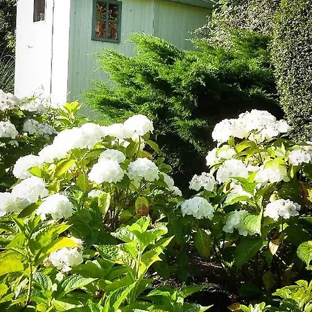 Les Hauts De La Cluse Couette-café 4*