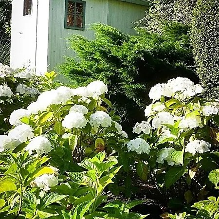Les Hauts De La Cluse Couette-café 4*