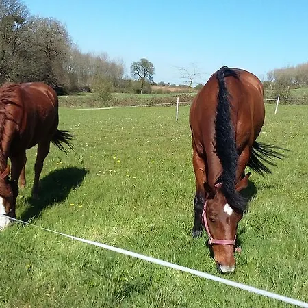 Nocleg ze śniadaniem Les Hauts De La Cluse Wimille