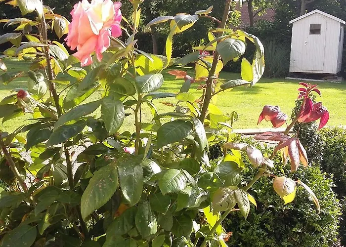 Les Hauts De La Cluse Bed & Breakfast